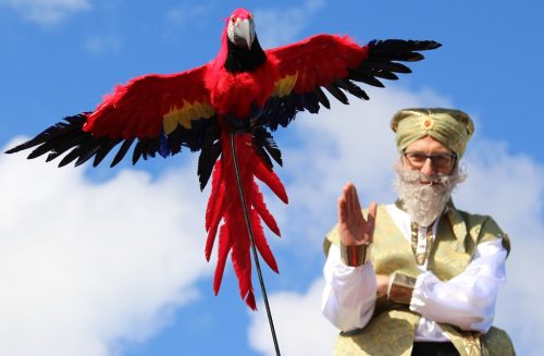 52415300332 4223ac1e58 b